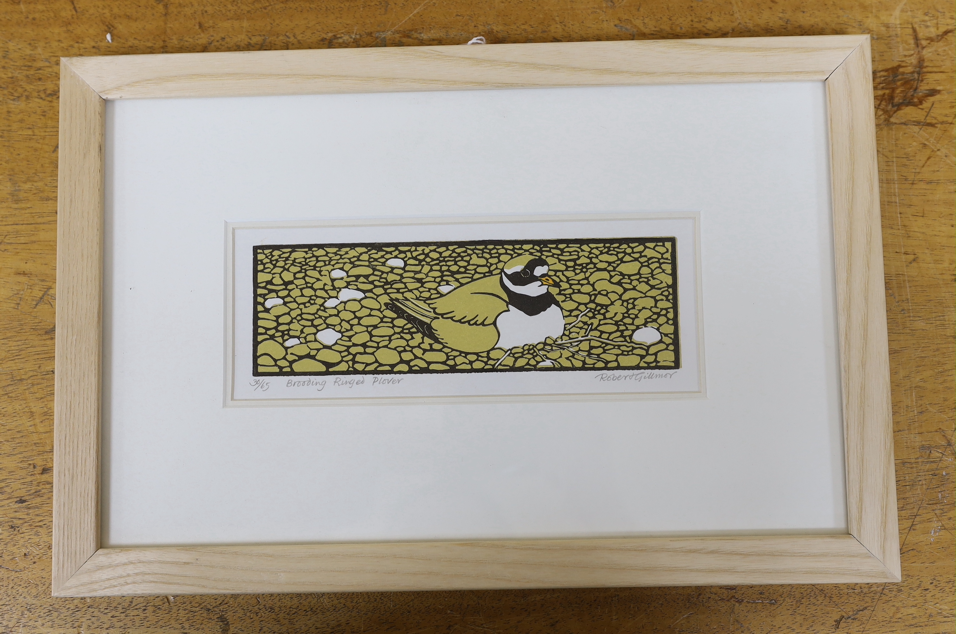 Robert Gillmor (1936-2022) linocut, 'Brooding Ringed Plover', limited edition 30 of 65, signed in pencil, 22 x 8cm